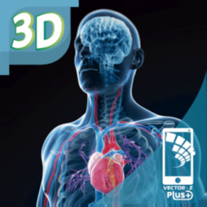 Mi Cuerpo Humano en 3D