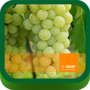 BASF México - Cultivo de la Uva