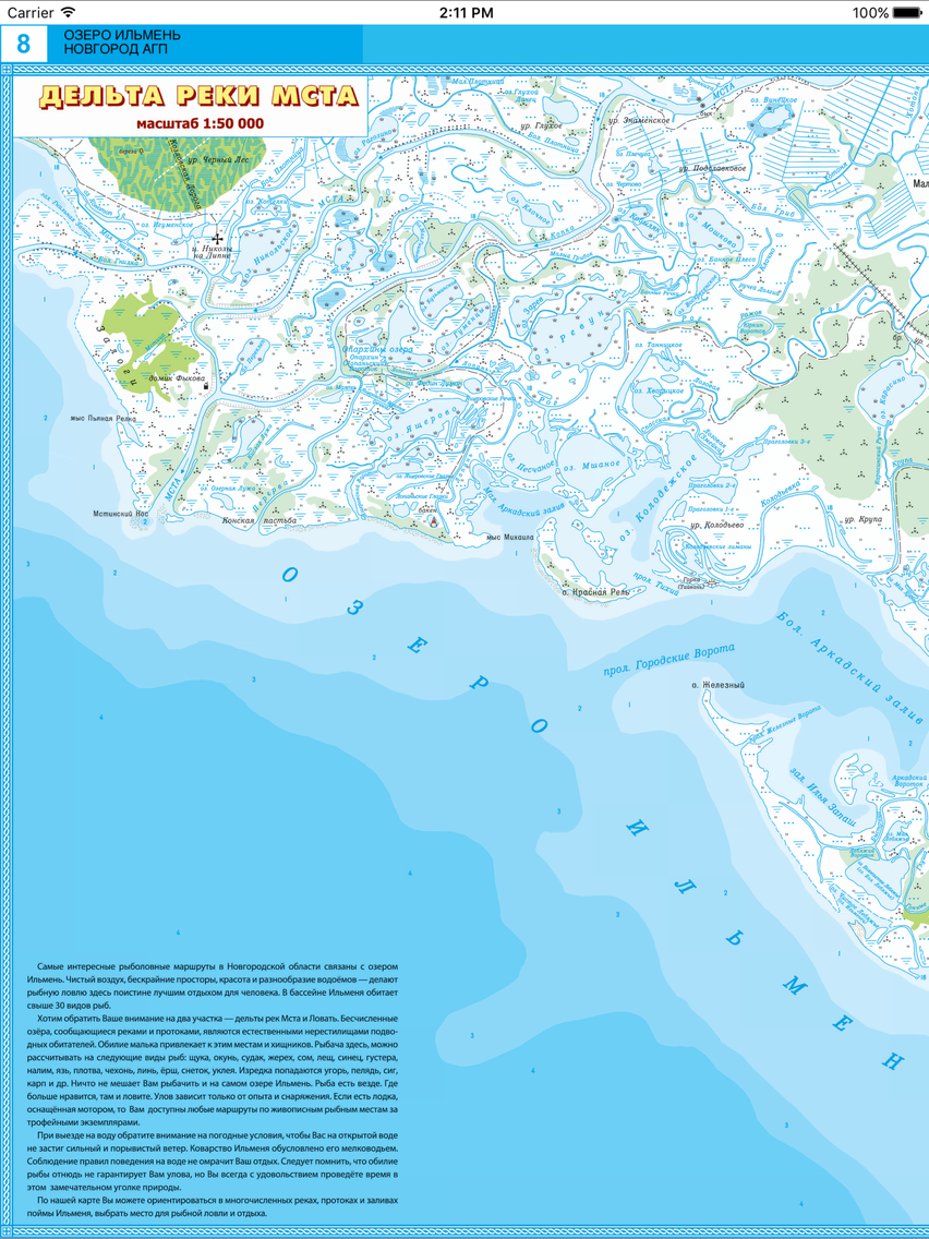 Lake Il'men. Topographic map poster