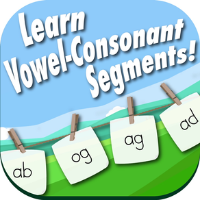 Vowel Consonant Recognition