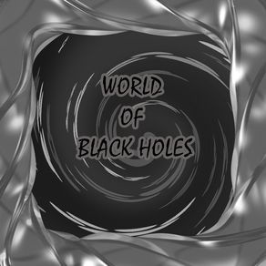 World of Black Holes