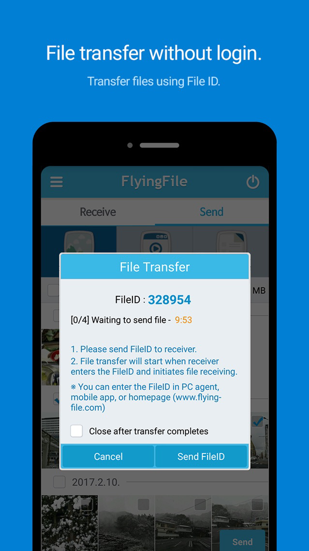 FlyingFile poster