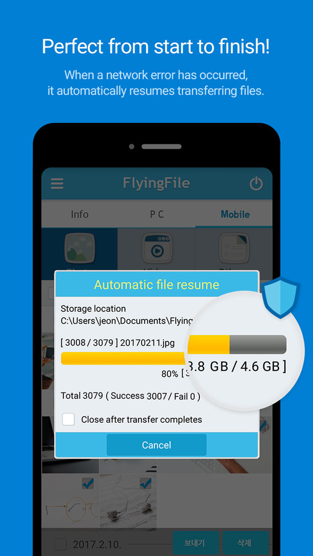 FlyingFile poster