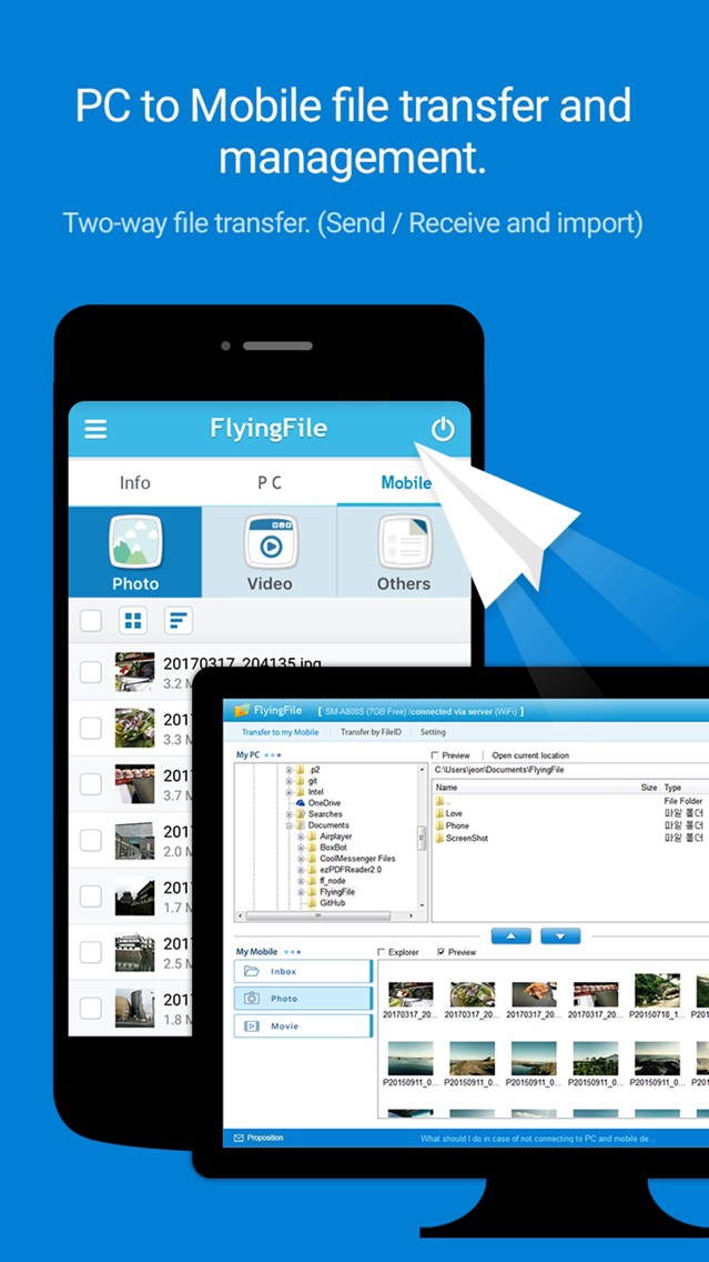 FlyingFile poster