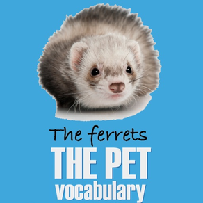 The Pet Name Vocabulary