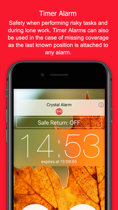 Crystal Alarm poster