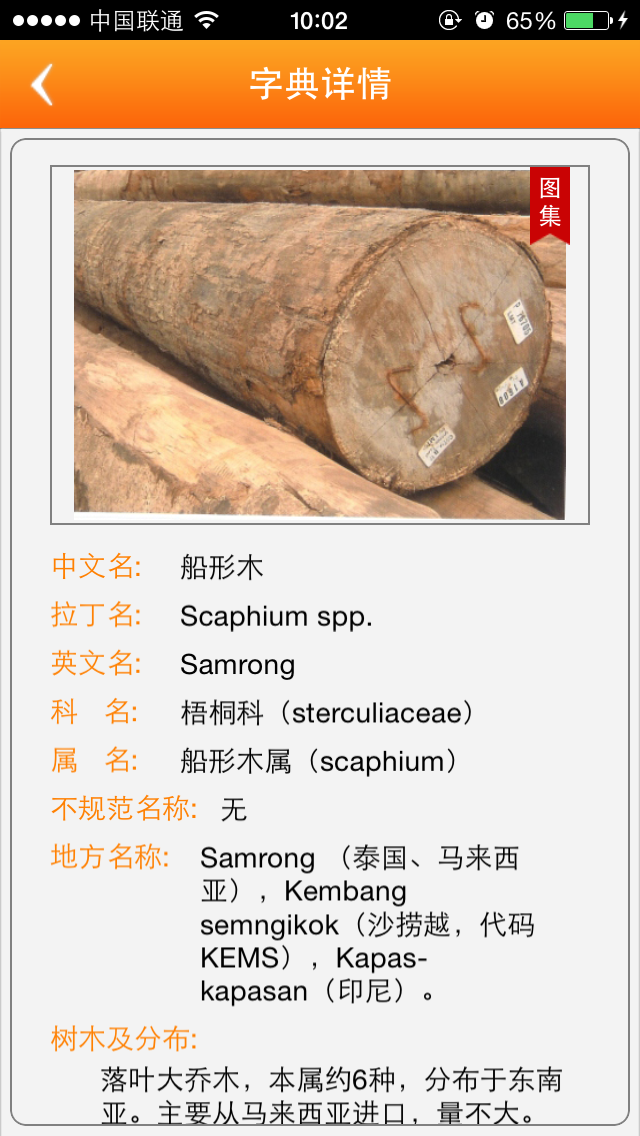木材王国 포스터