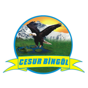 Cesur Bingöl Seyahat