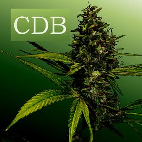 CDB