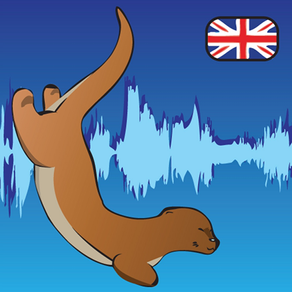English Pronunciation - Otterwave