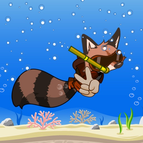 Diving Racoon