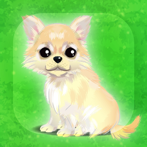 My Dog Life -Chihuahua Edition-