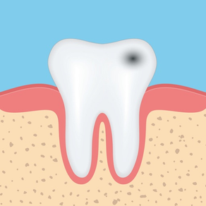 Dental Anatomy Quizzes