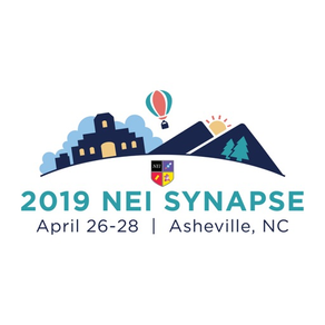 2019 NEI Synapse