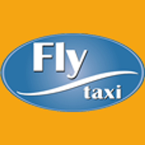 Fly Taxi Evolution