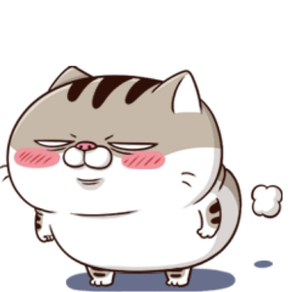 Ami Fat Cat