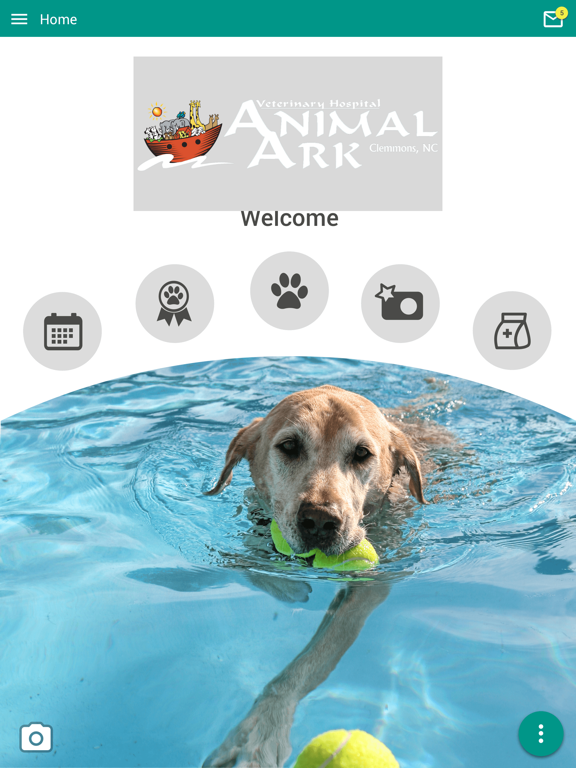 Animal Ark Veterinary Hospital poster
