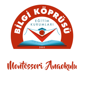 Montessori Bilgi Köprüsü