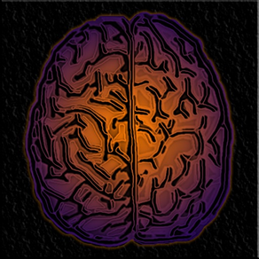 DualBrain+ Level Up Your Brain