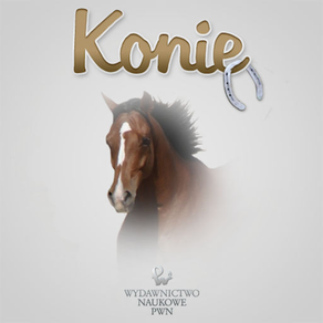 Konie rasowe - Horses