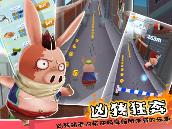 小猪酷跑-3D肥猪快乐跑酷 poster