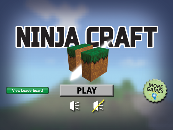 Ninja Craft Game poster