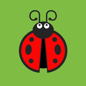 Ladybug!