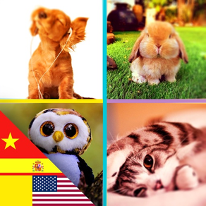 Picture Quiz- Learning English