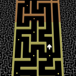 Maze Frenzy