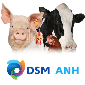 DSM ANH Product Support 2.0