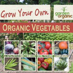 Growing Organic Vegetables