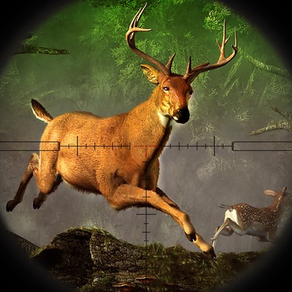 鹿 狩猟 : バック 射撃 シミュレータ