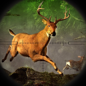 Cerf Chasse : Mâle Tournage Simulateur