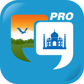 Learn Hindi Quickly Pro