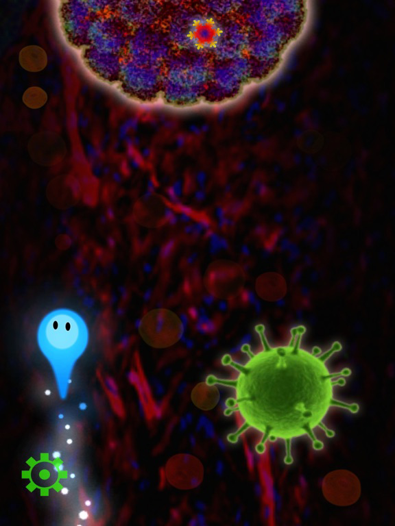 Zoide poster