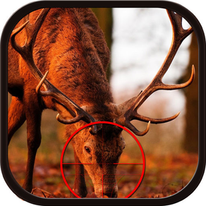 Deer Hunting Adventure 2016Shooting Challange