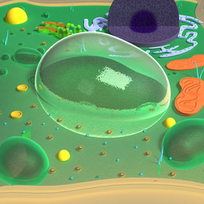 Virtual Reality (VR) Plant Cell