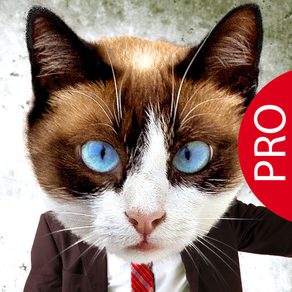Animal Face Pro - Cat stickers for your photos and more