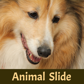 Animal Slide Image Puzzle