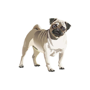 Realistic Dog Art - Dogs, Terrier, Black Lab, Pug