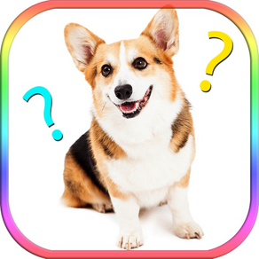 Dog images compare word guessing exercise quiz