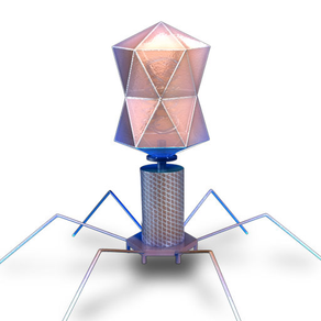 Bacteriophage 3D