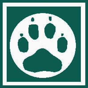 PAWS Crime App