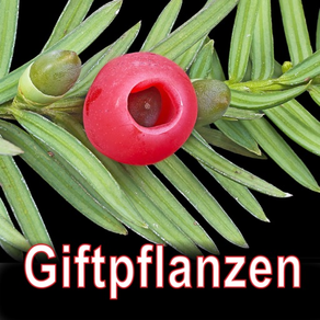 Giftpflanzen Mitteleuropas