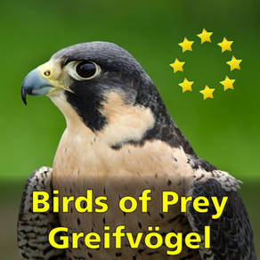 Greifvögel und Eulen Europas