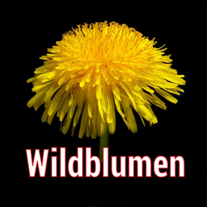 Wildblumen Mitteleuropas