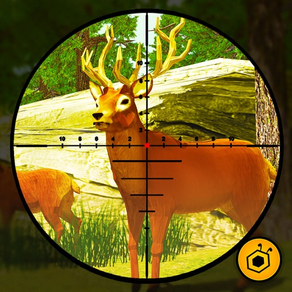 Wild Hunting - Safari Shooting