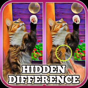 Hidden Difference: A Day with My Cat