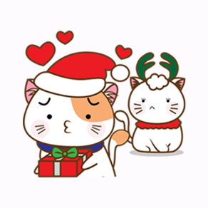 Christmas of Pretty Cat