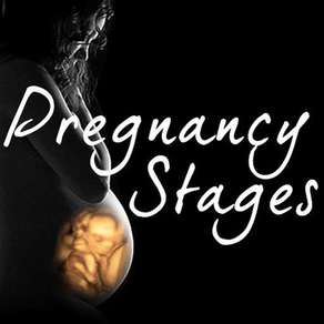 Pregnancy Stages